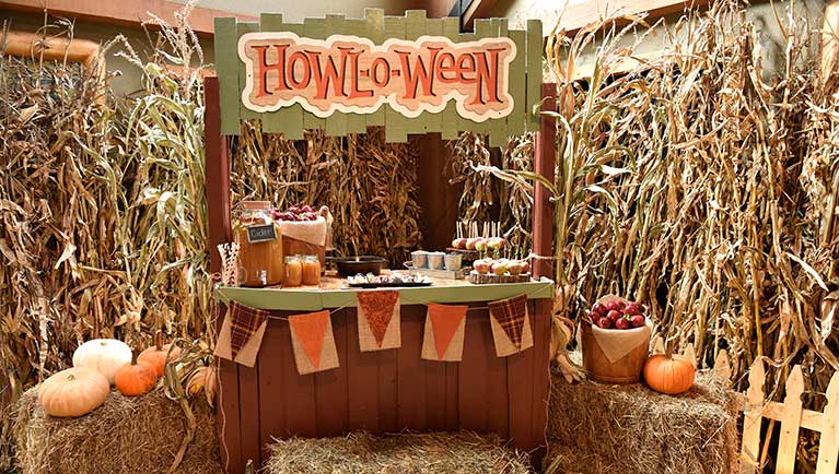 Howl O ween booth