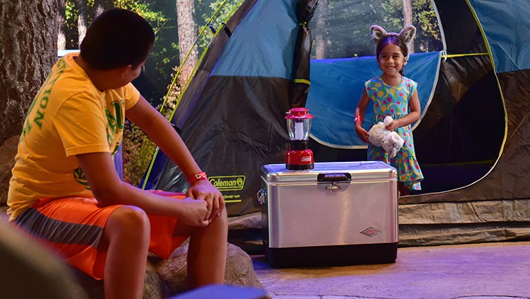 Summer Camp In Savings Special Offers Great Wolf Lodge