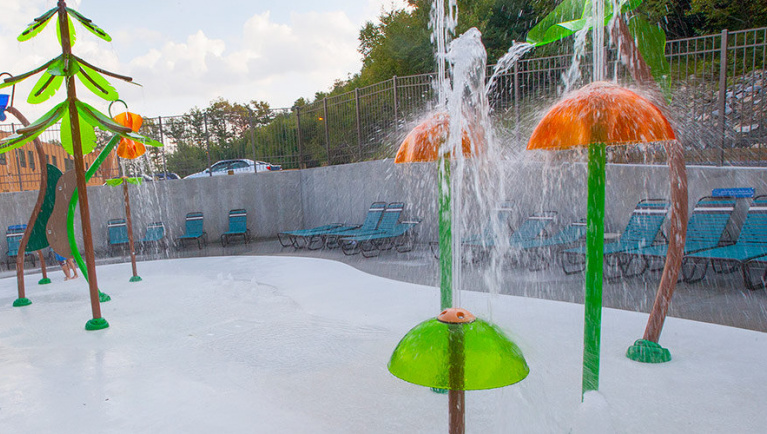 A view of the outdoor area in Tadpole Pond