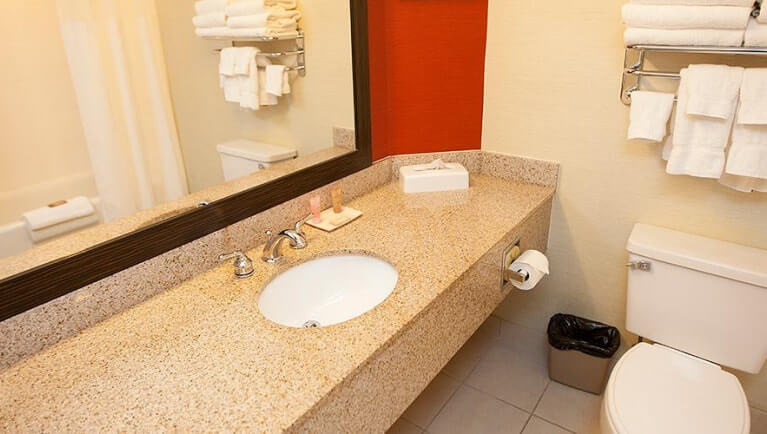 The accessible shower Junior Cabin Suite