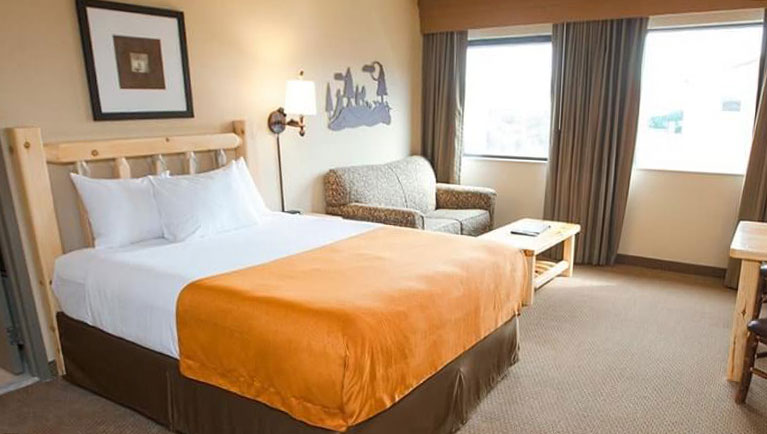 Bear Cub Suite | Themed Suite | Great Wolf Lodge Boston / Fitchburg, MA