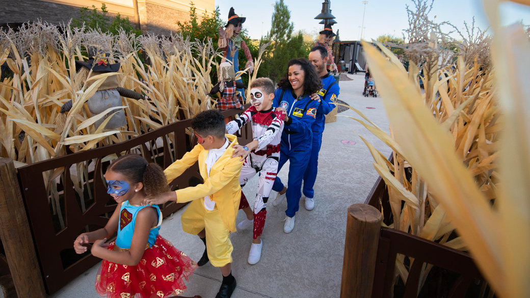 Guests sharing plates
