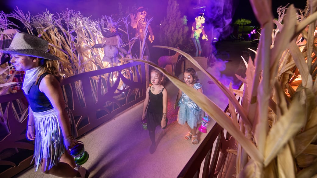 Bowl of barbecue chicken 