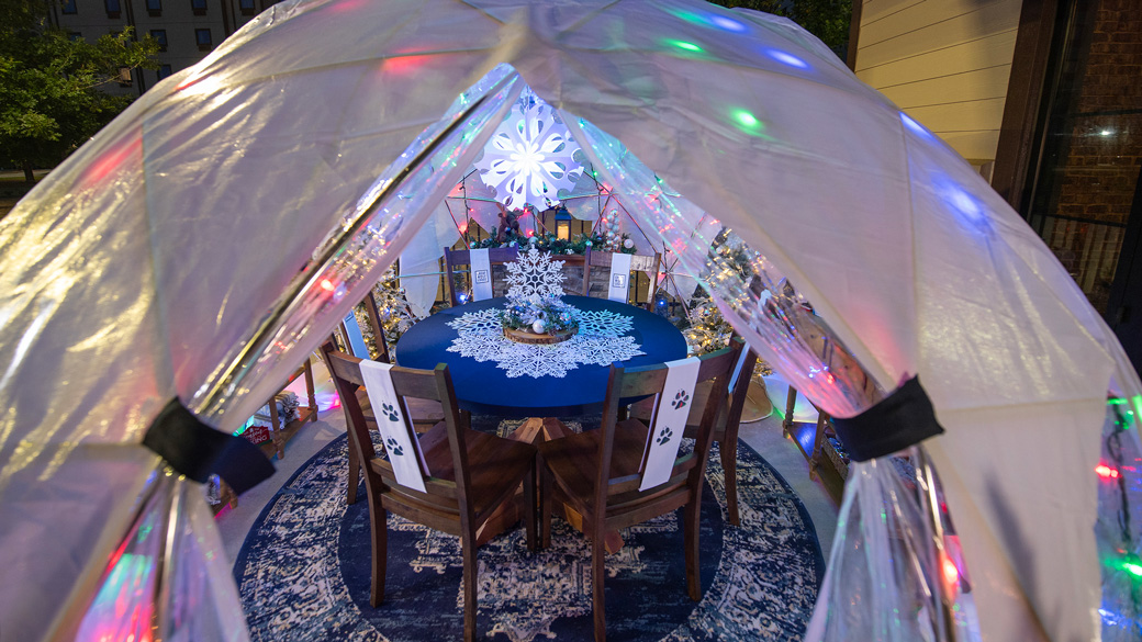 snow globe illuminated at night