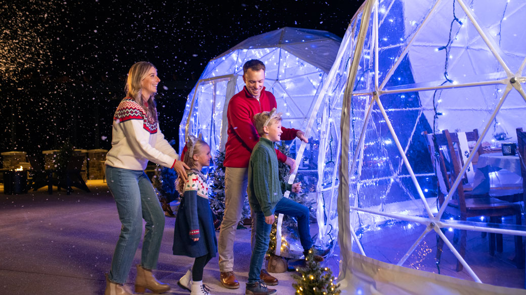 Family of four smiling and entering a snow globe
