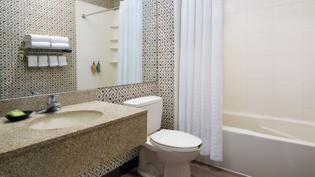 The bathroom in the den in the Wolf Den Suite