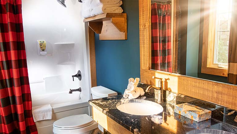 Bathroom in the suite
