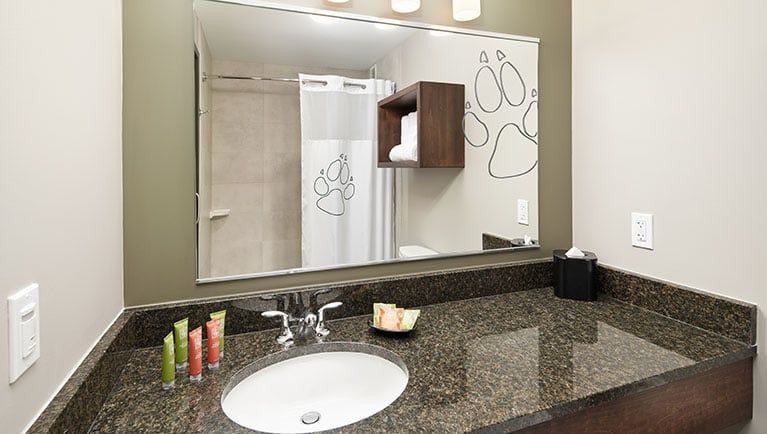 sink area in the family suite