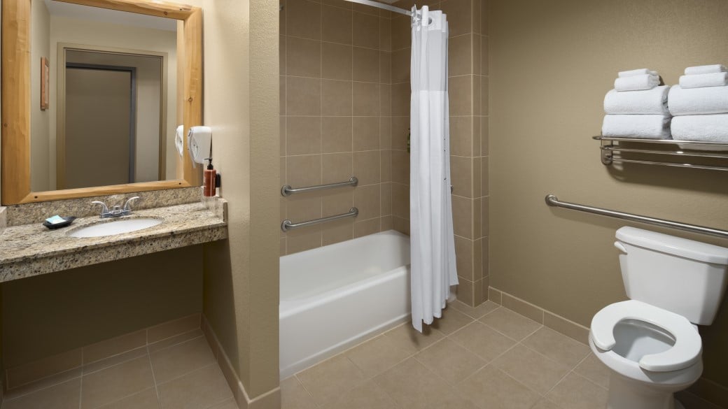 The bathroom in the Wolf Den Suite (Accessible Shower)