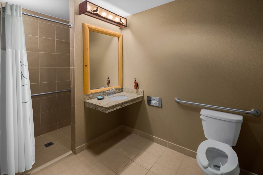 The bathroom in the Wolf Den Suite (Accessible Shower)