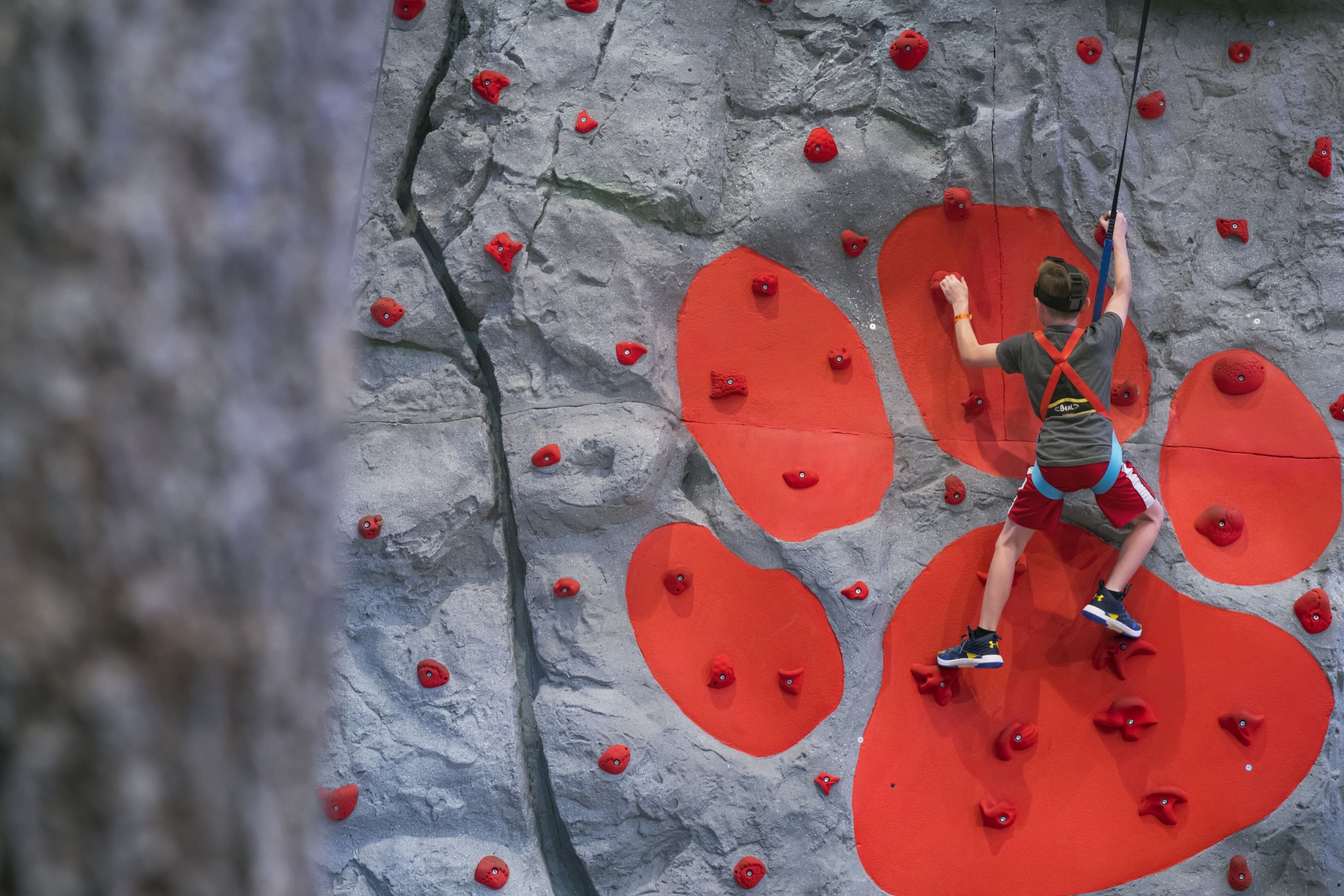 Child in harness climbing indoor rock wall
