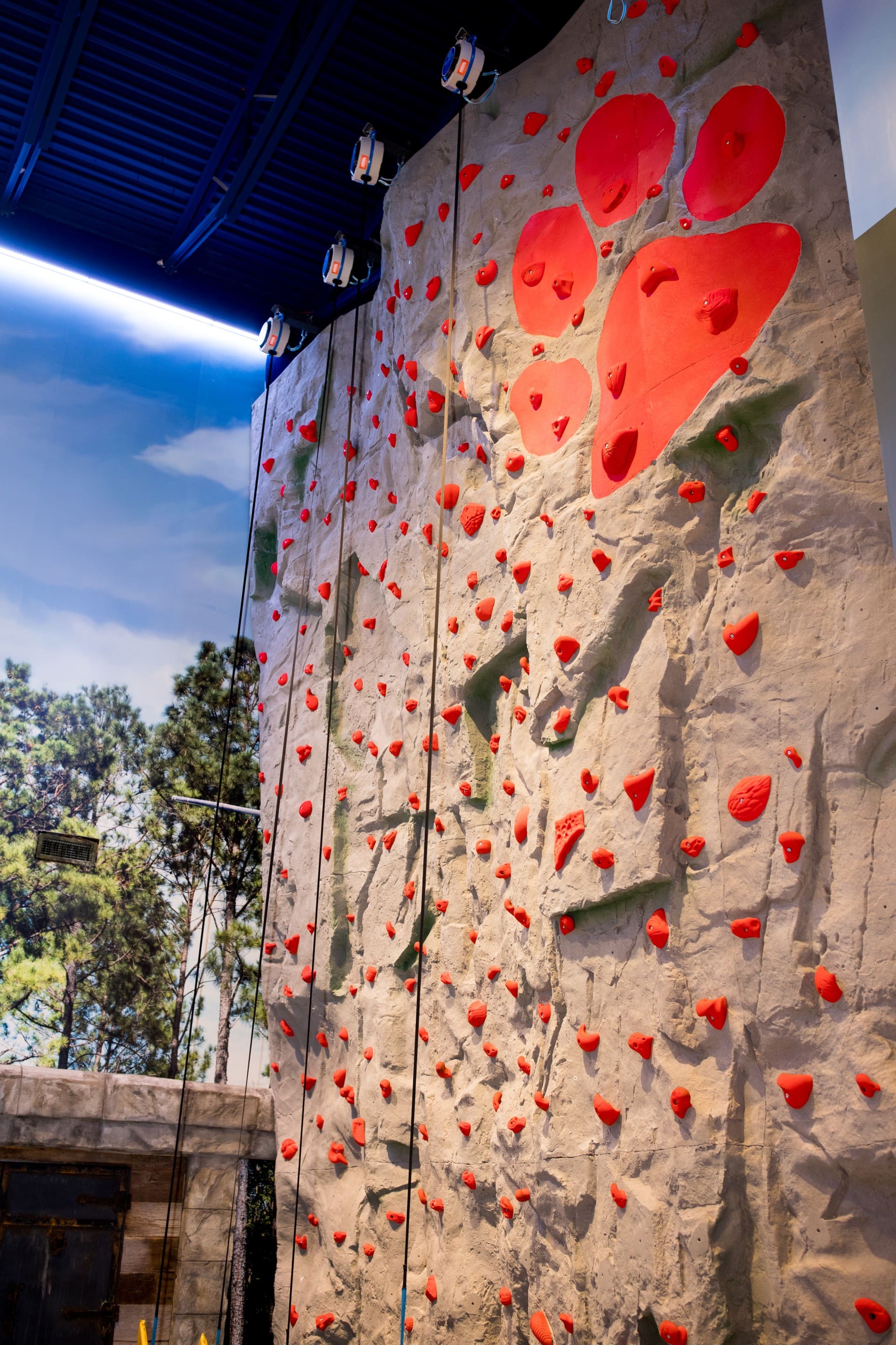 Overall view of the Rustic Ridge Climbing Wall