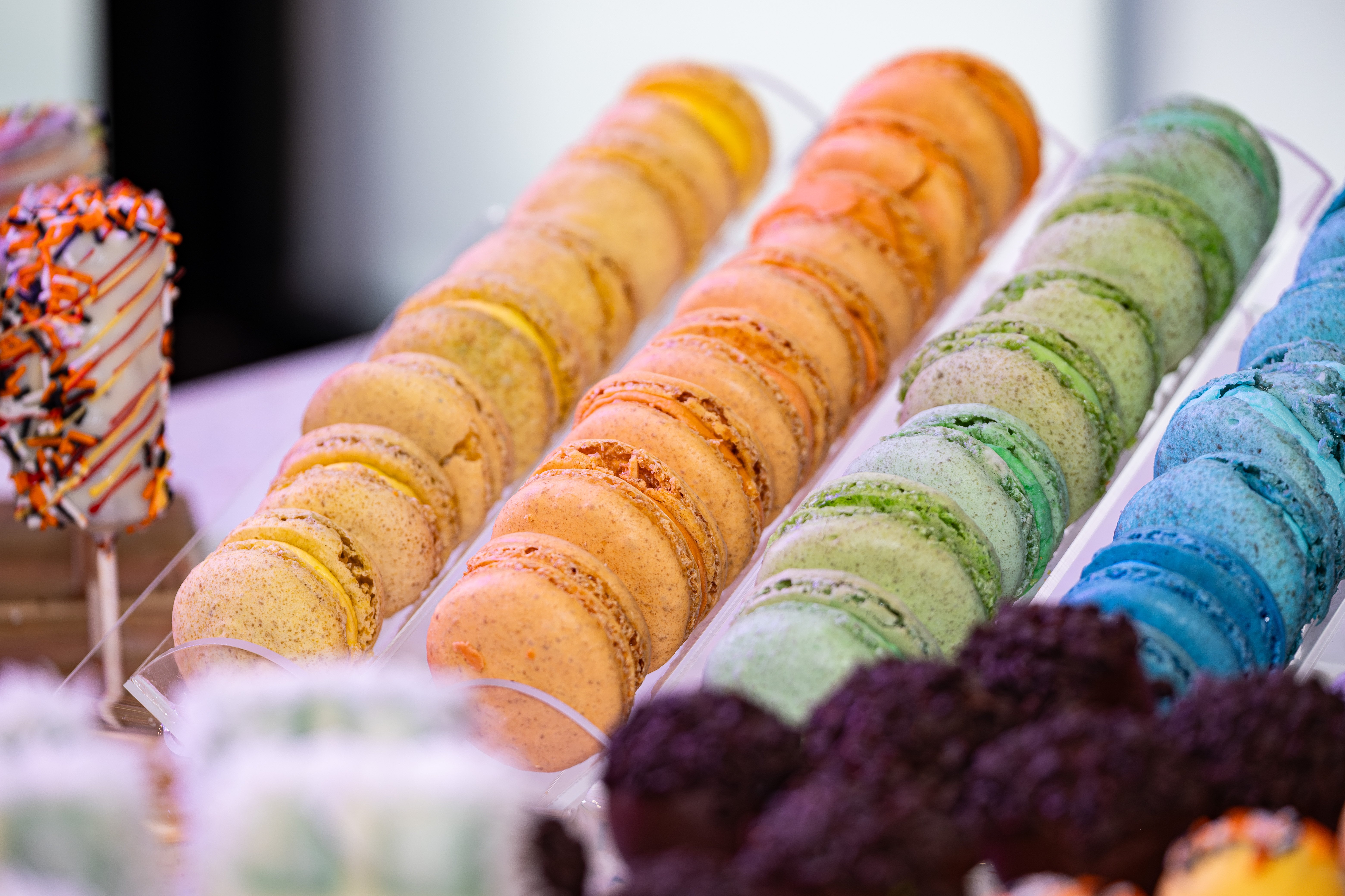 multiple color macaroons