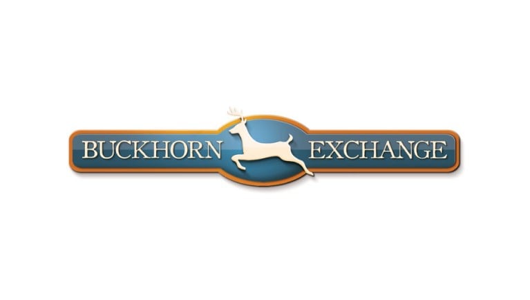 https://www.greatwolf.com/content/dam/greatwolf/sites/www/things-to-do/shopping/buckhorn/buckhorn-exchange-logo-767x434-fixed.jpg