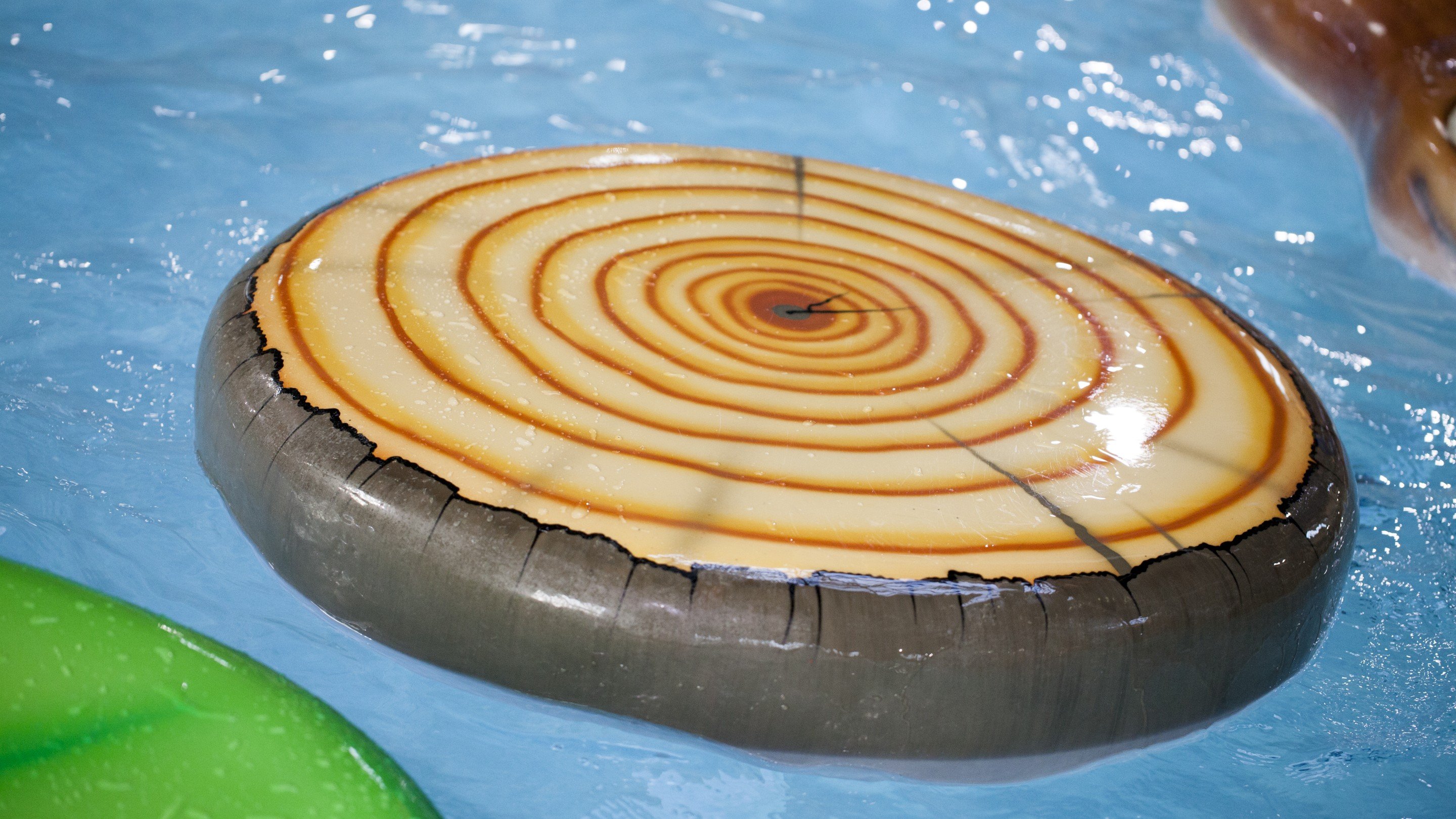 close up of a tree disc pad float in indoor pool