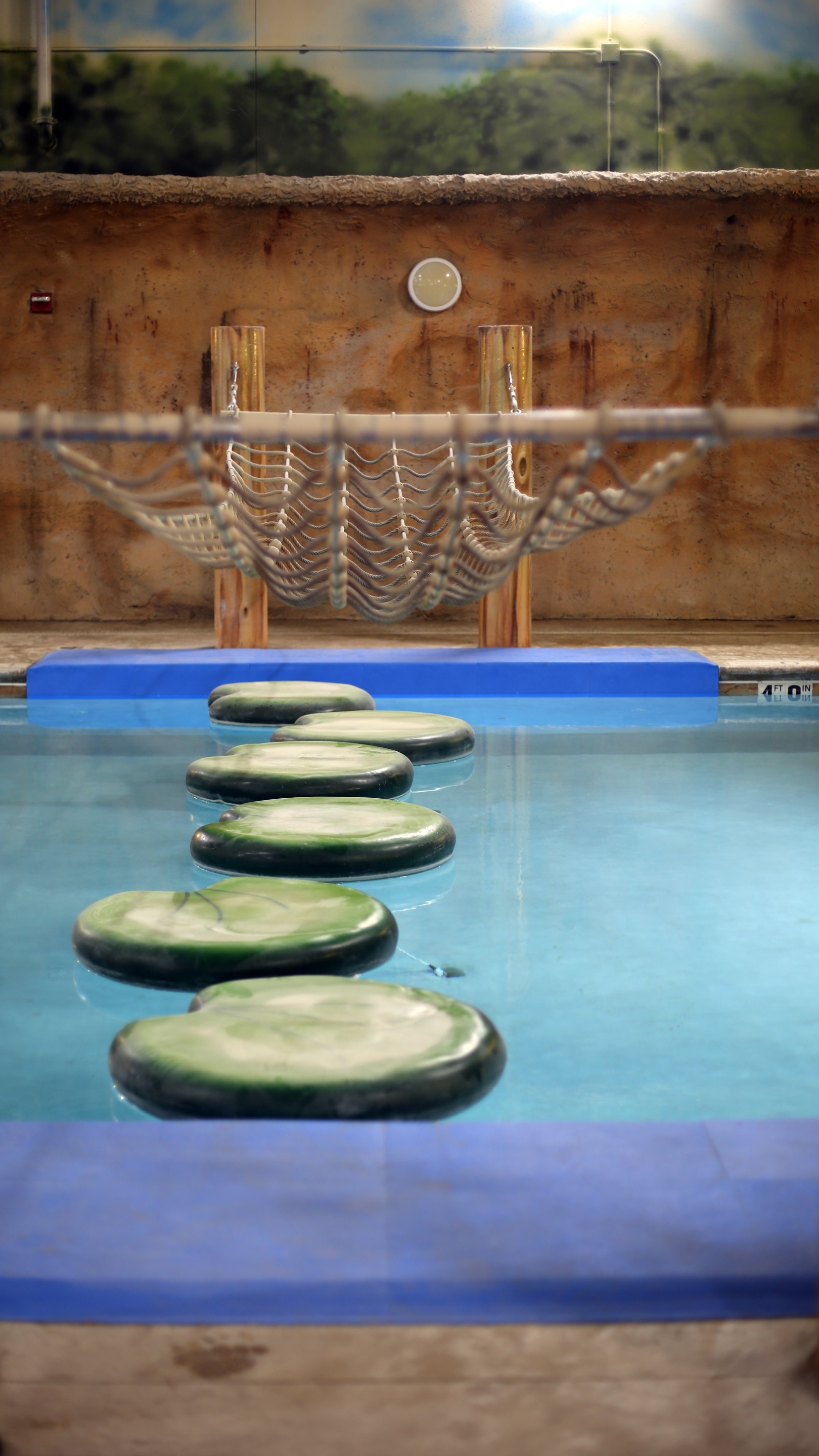 A peaceful pool area showcasing a hammock and a rope, ideal for unwinding and soaking up the sun.